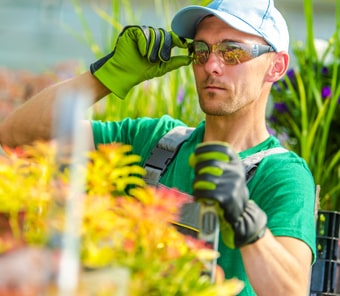 Additional Services / Addons