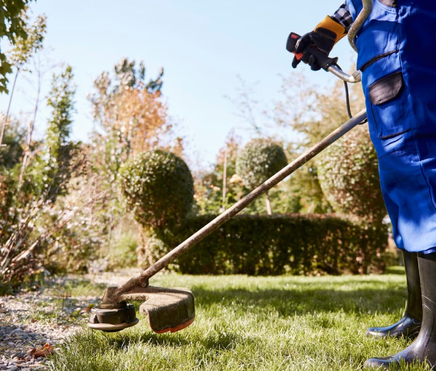 Bloom: Lawn care package